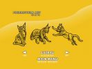 Lion Voltron: DVD Profiles and Art
